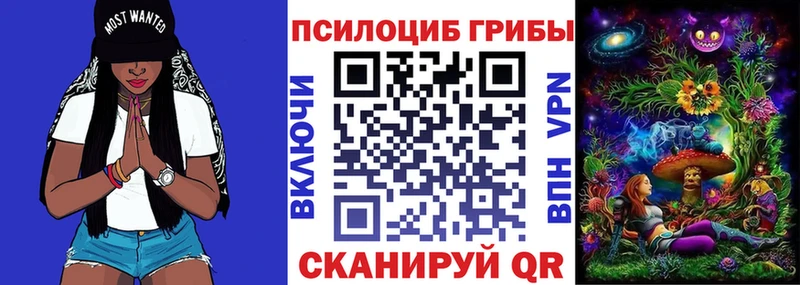 Псилоцибиновые грибы мицелий  магазин продажи наркотиков  Нязепетровск 